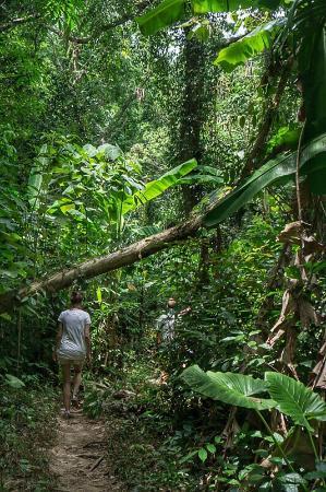 Grotte de Khao Mai Kaew